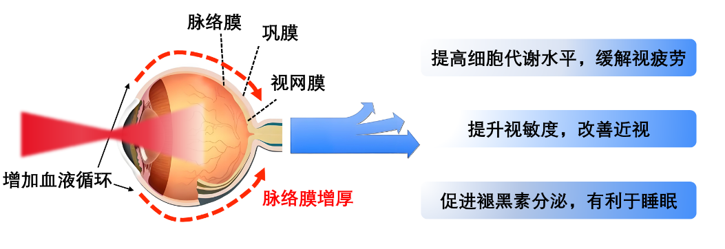 Health Display: From Concept to Technical Requirements