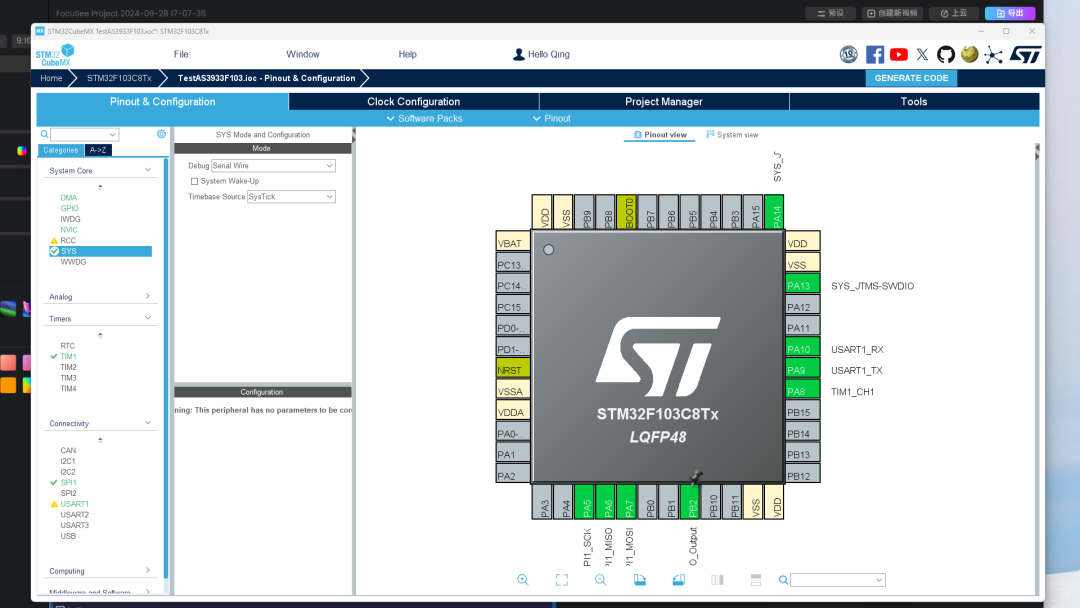 Using RST in SWD Debugging Port