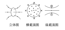 Compilation of Electromagnetic Knowledge for High School Students
