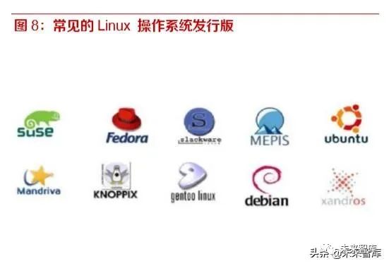 Understanding Operating Systems: Key Differences Between Windows and Linux