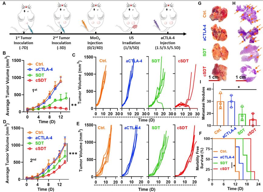 Oxygen-Deficient Molybdenum Oxide Nanosensitizers for Ultrasound-Enhanced Cancer Metalloimmunotherapy
