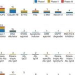 Next Generation Antibody-Drug Conjugates (ADCs): What They Look Like