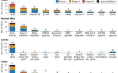 Next Generation Antibody-Drug Conjugates (ADCs): What They Look Like