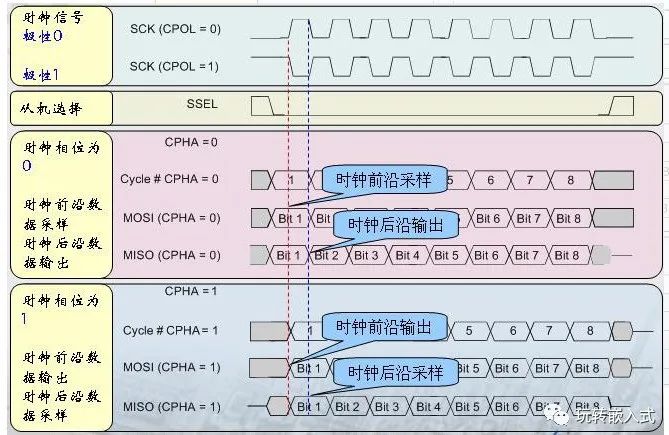 How to Use SPI? Understand Timing and Use It Freely