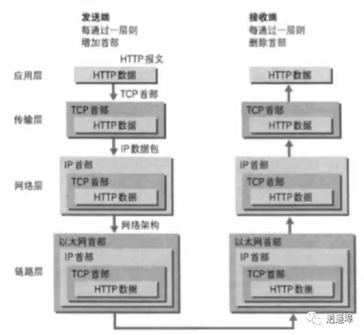 Fundamentals of Networking