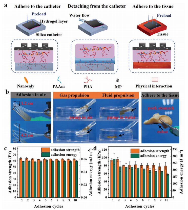 Soft Magnetic Microrobots for Targeted Drug Delivery