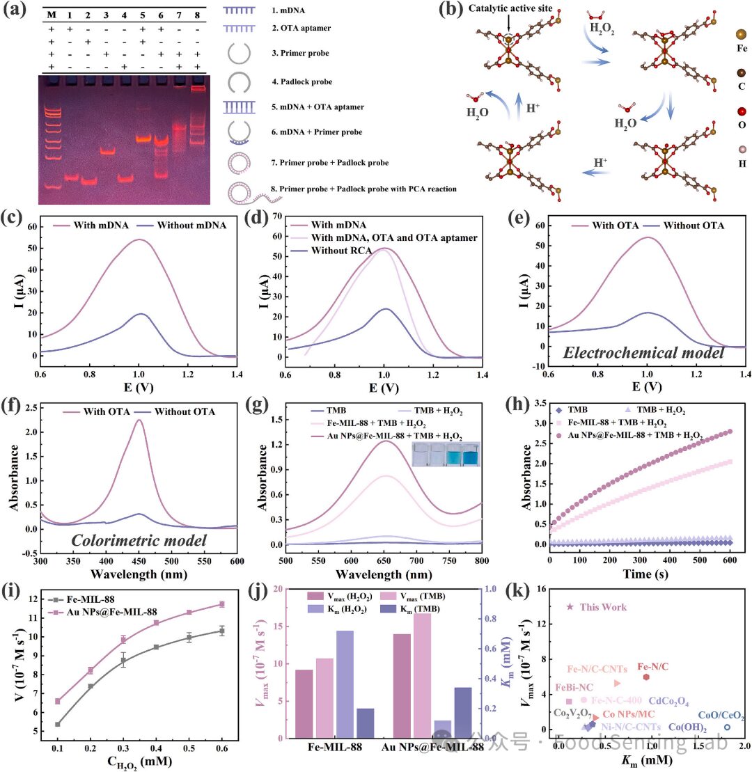 Smartphone-Based Dual-Mode Aptasensor for Ochratoxin A Detection