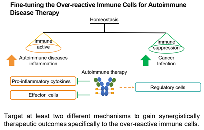 Immunomodulatory ADCs: A New Weapon Against Autoimmune Diseases