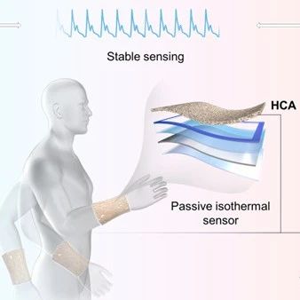 Dual Thermal Regulation Aerogels Enhance Flexible Sensor Stability
