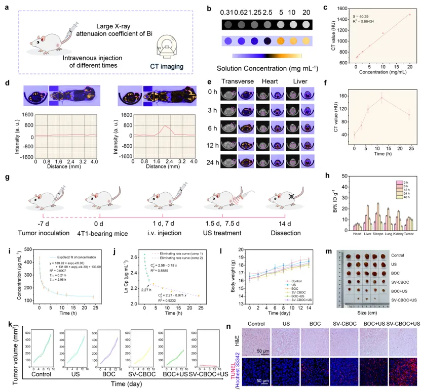 Oxygen Vacancy Piezoelectric Nanosheets for Ultrasound Tumor Therapy