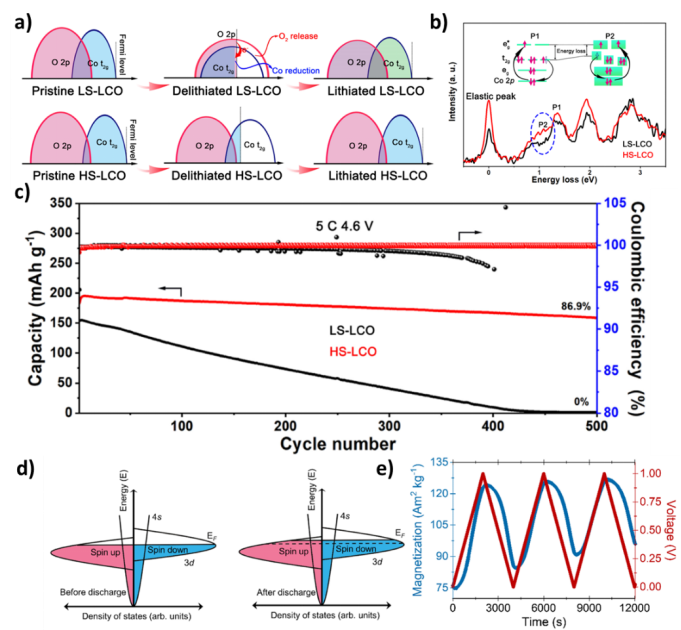 Exploring Electron Spin Polarization for Next-Gen Rechargeable Battery Innovation