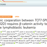 The Oncogenic Cooperation of TCF7-SPI1 and NRAS in T-ALL