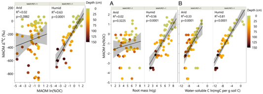Divergence and Persistence of Mineral-Associated Organic Matter in Soil Driven by Moisture