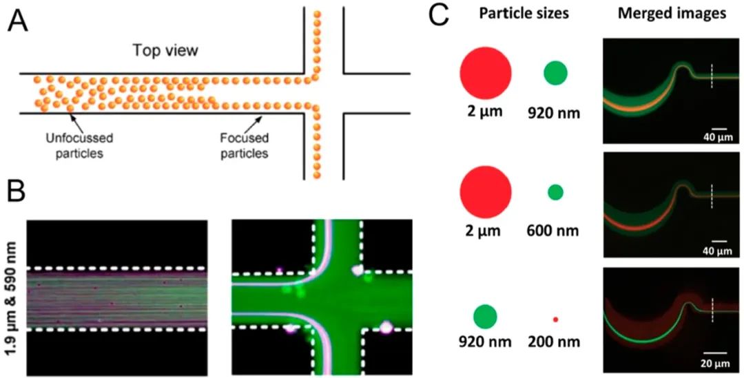 Microfluidic Isolation and Enrichment of Nanoparticles