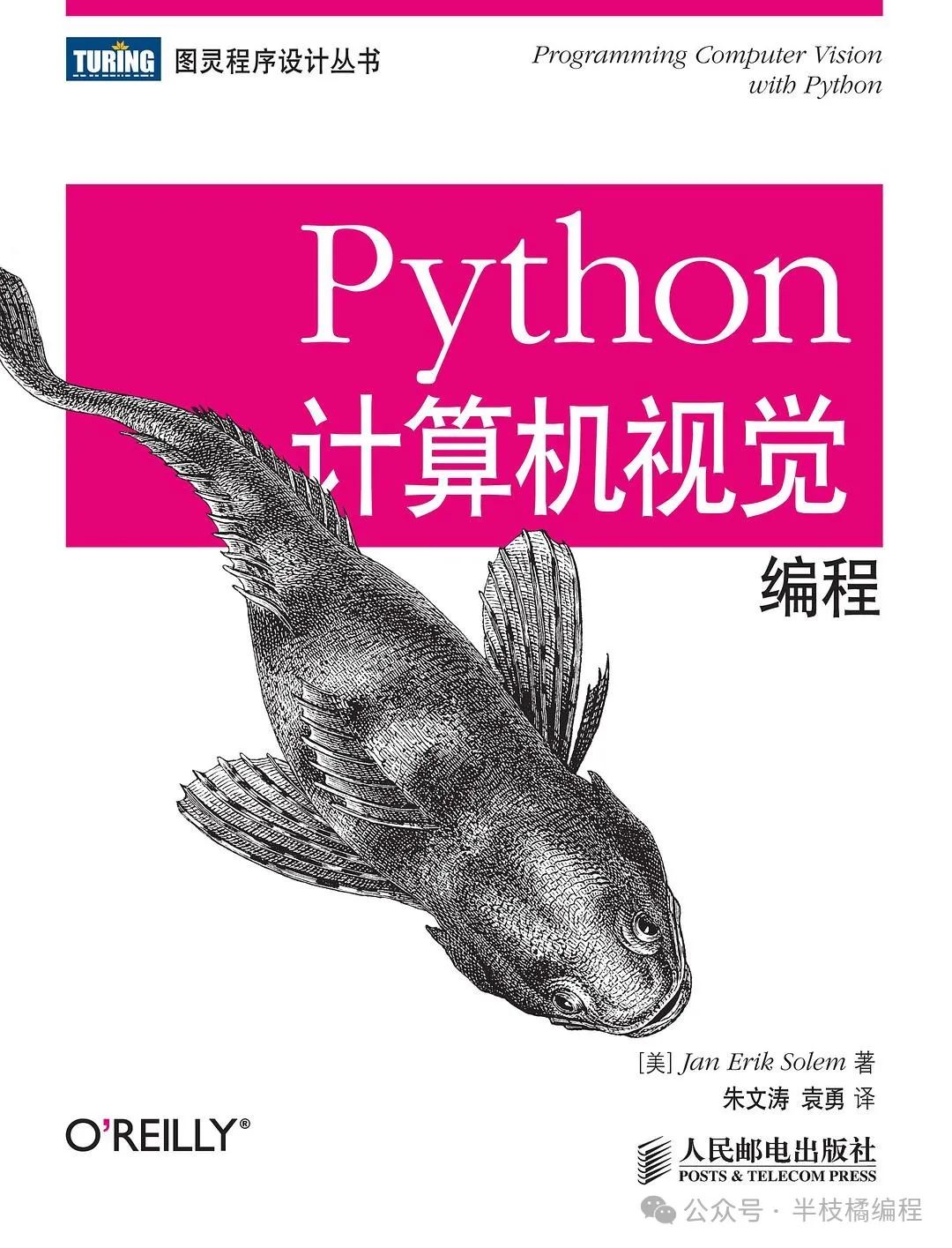 16 Must-Read Python Books for Beginners