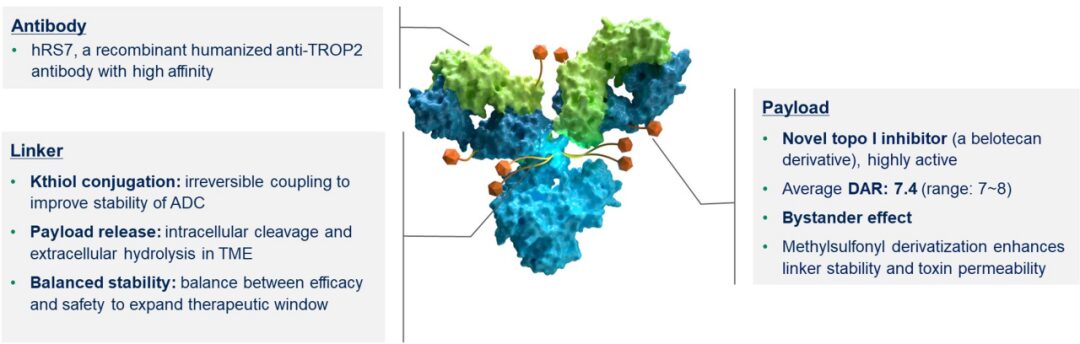 Review of ADC Drugs: Current Status and Future Directions