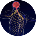 Understanding Meige Syndrome: Clinical Treatments and Differences from Facial Spasms