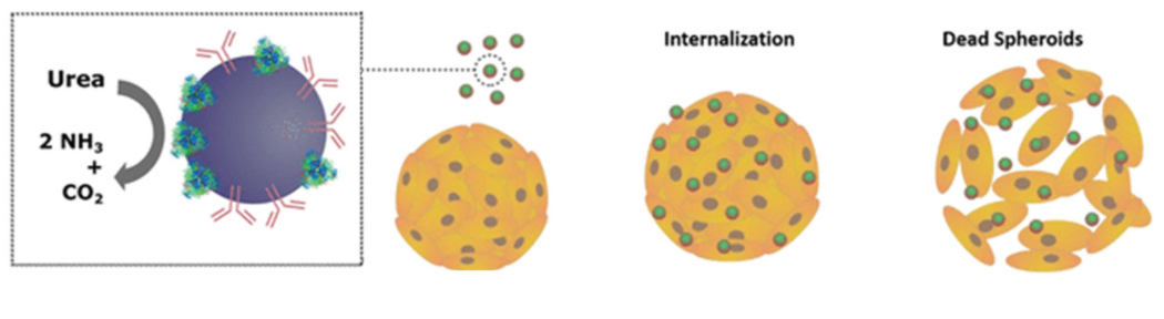 Review: Medical Micro/Nanorobots in Precision Medicine