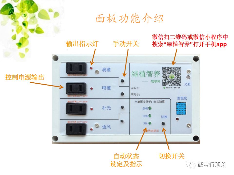 Research Paper on IoT-Based Smart Plant Care System