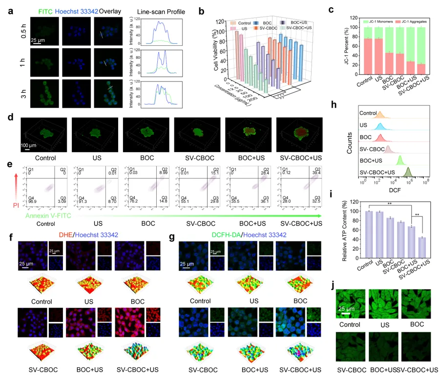 Oxygen Vacancy Piezoelectric Nanosheets for Ultrasound Tumor Therapy
