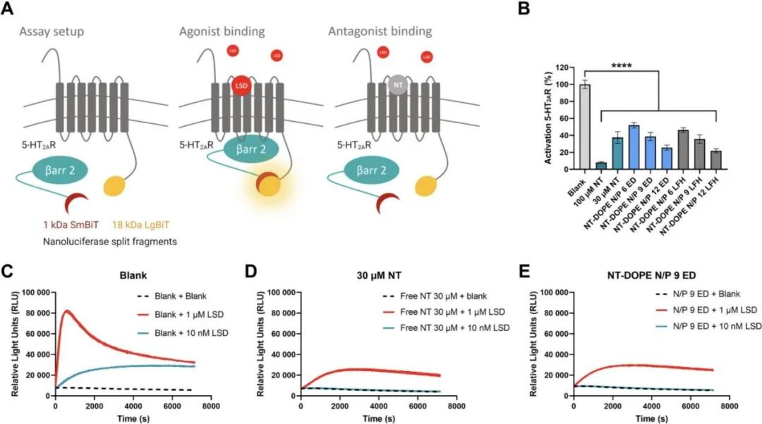 Repurposing Cationic Amphiphilic Drugs for mRNA Delivery