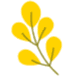 Common Process Scheduling Algorithms