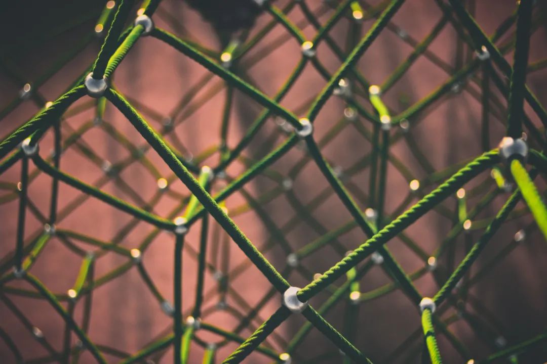 Analysis of Douyin App (V15.7) and Web Requests