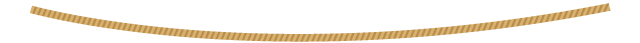 The Past and Present of ZigBee Technology