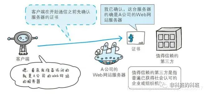 Understanding TCP/IP, HTTP, and HTTPS in Depth