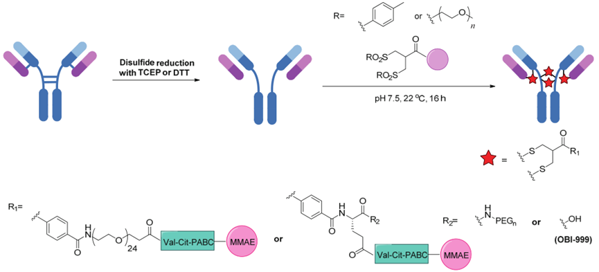 Understanding DAC Design Points and Representative Cases in PROTAC