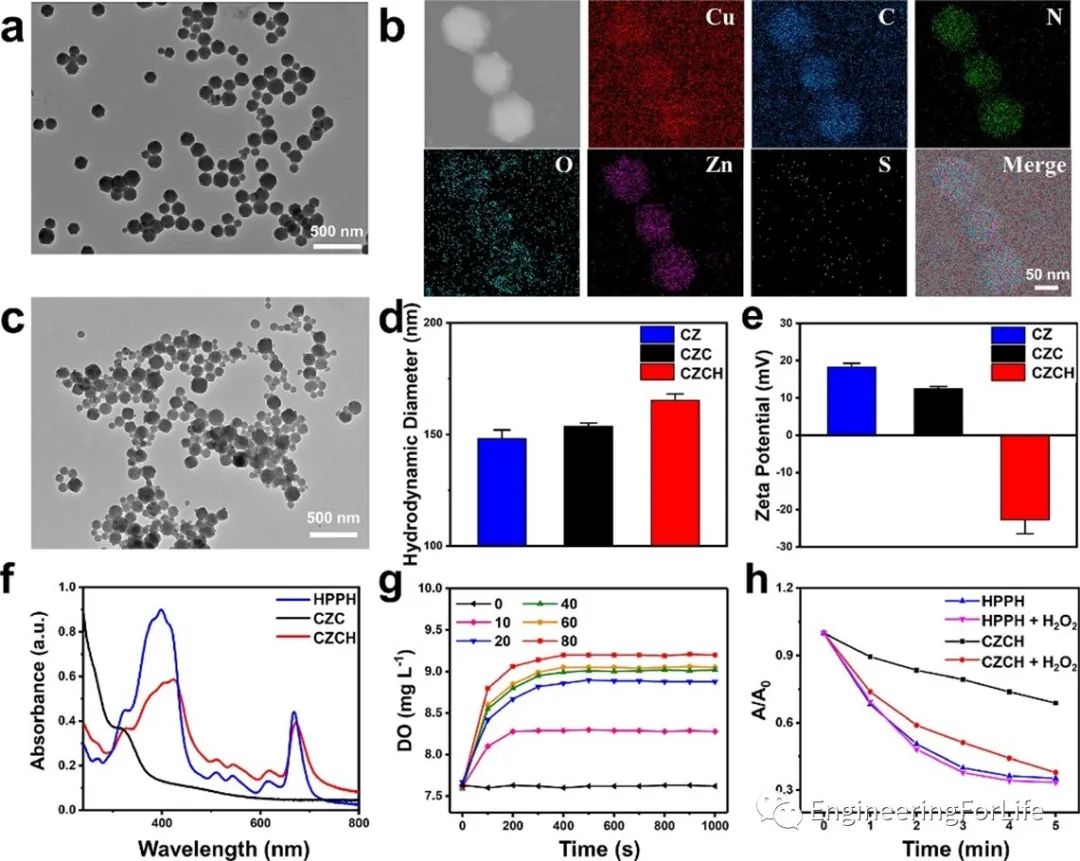Self-Oxygenating & Glutathione-Depleting Microneedle Patch for Photodynamic Therapy of Tumors