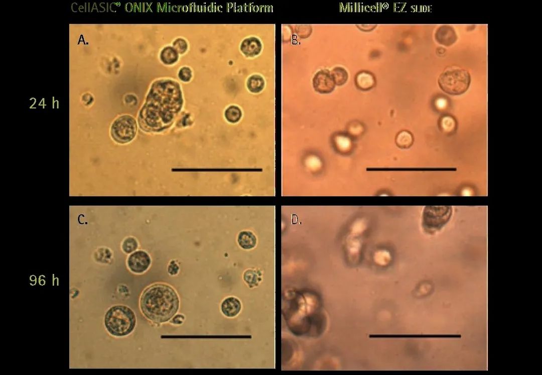CellASIC® ONIX2: A New Platform for Live Cell Dynamic Cultivation and Analysis