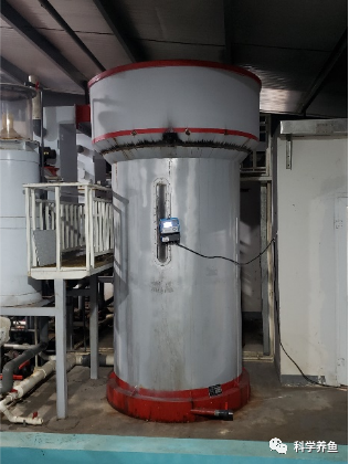 Understanding Core Technologies and Equipment for Industrial Recirculating Aquaculture