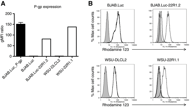 Understanding ADC Drug Resistance Mechanisms