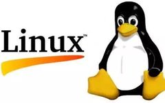 The Association of Bus, Device, and Driver in Linux
