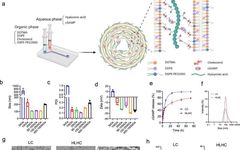 Single-Dose Physically Cross-Linked Hyaluronic Acid and Lipid Hybrid Nanoparticles Activate Antitumor Immune Response