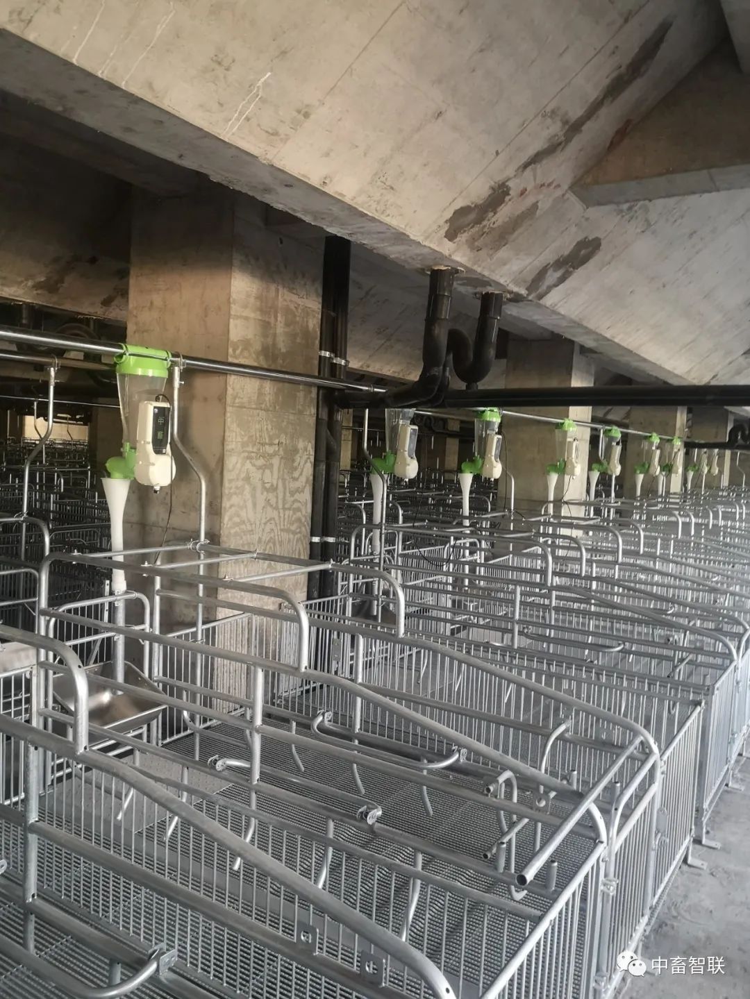 Analysis of the Underlying Logic and Equipment Costs of Smart Feeding