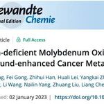 Oxygen-Deficient Molybdenum Oxide Nanosensitizers for Ultrasound-Enhanced Cancer Metalloimmunotherapy