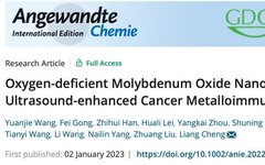 Oxygen-Deficient Molybdenum Oxide Nanosensitizers for Ultrasound-Enhanced Cancer Metalloimmunotherapy