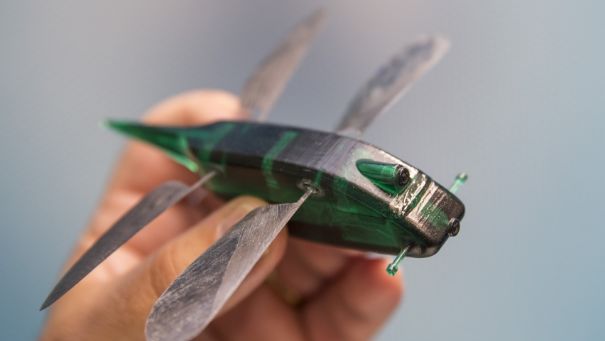 Micro Robots and Their Capabilities