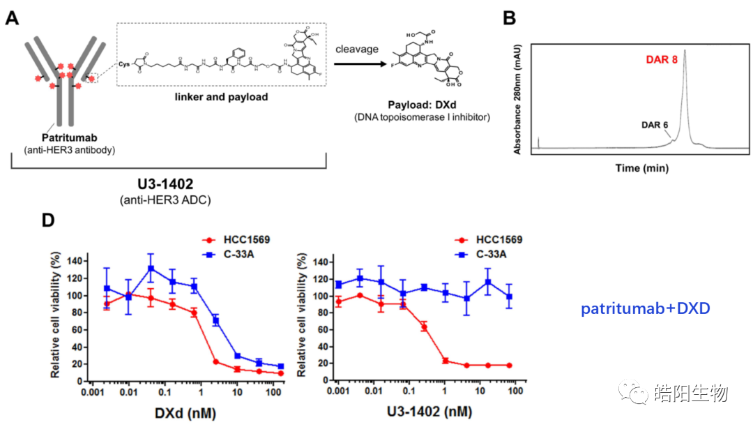 Physicochemical Analysis and Structural Characterization of Antibody-Drug Conjugates (ADCs)