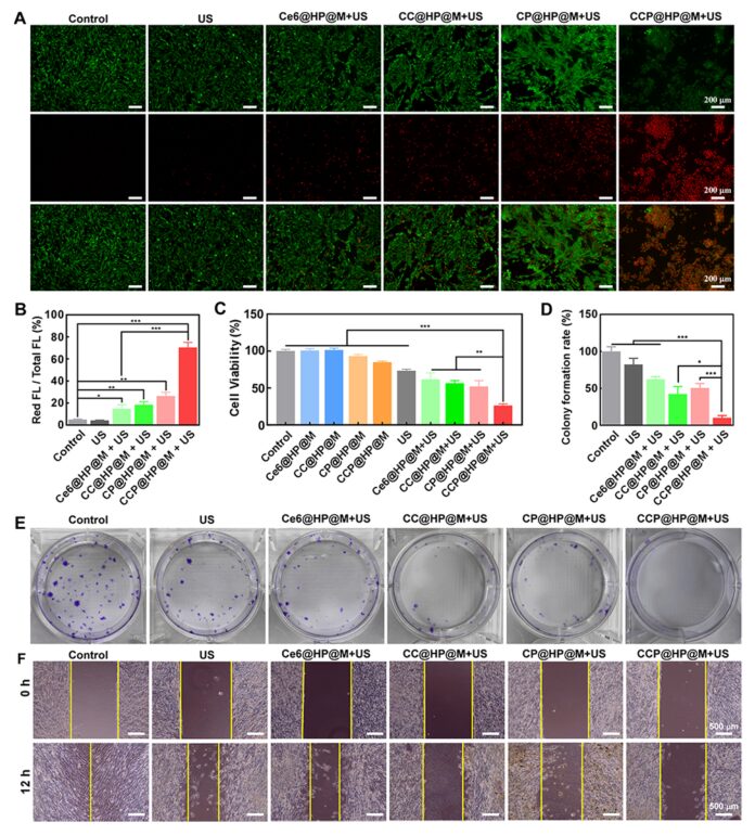 Cascaded Nano-Reactor Enhances Sonodynamic Therapy for Colon Cancer
