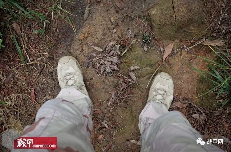 Evaluating LOWA Zephyr TF GTX Military Boots