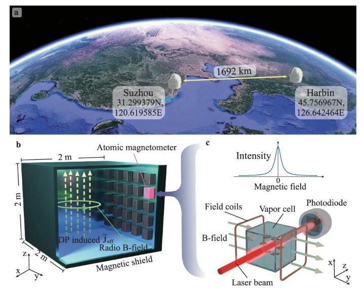 Quantum Sensor Network: A New Frontier in Dark Matter Research