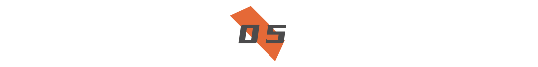The Rise and Fall of a Domestic CPU: A Case Study