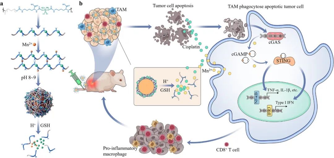 Platinum(IV)-Backboned Polymer Prodrug-Functionalized Manganese Oxide Nanoparticles for Enhanced Lung Cancer Chemoimmunotherapy