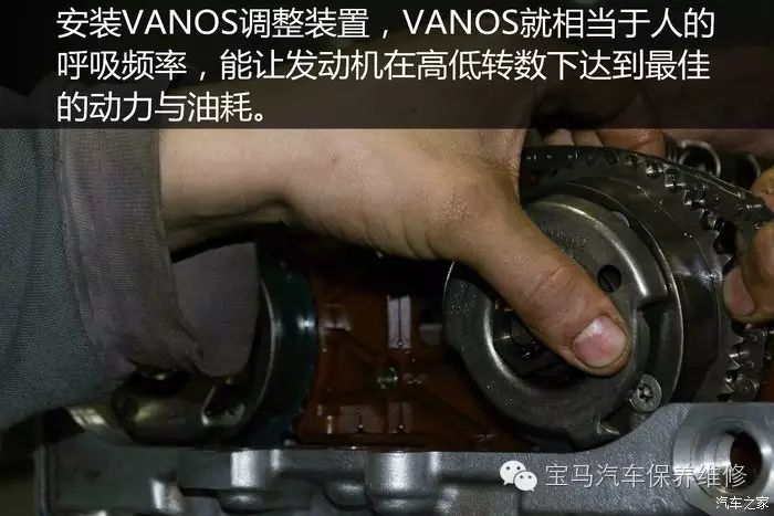 Engine Damage After ECU Tuning: 328 Engine Revival Journey