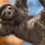 Fixing NTFS Recognition Issues in Windows from Linux