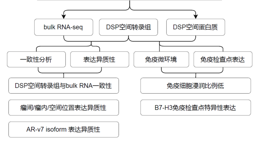 Exploring GeoMx DSP Applications in Cancer Research