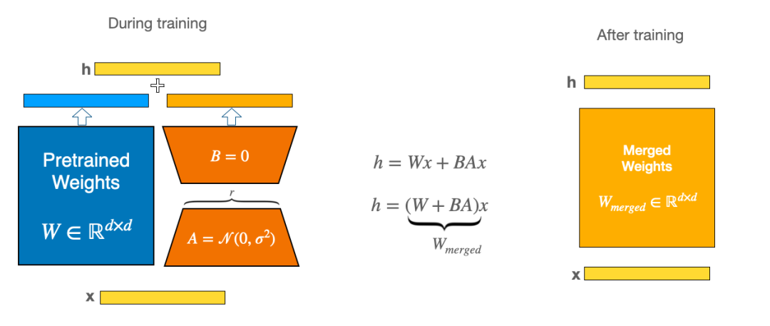 LoRA: The Nitrogen Accelerator for Large Models